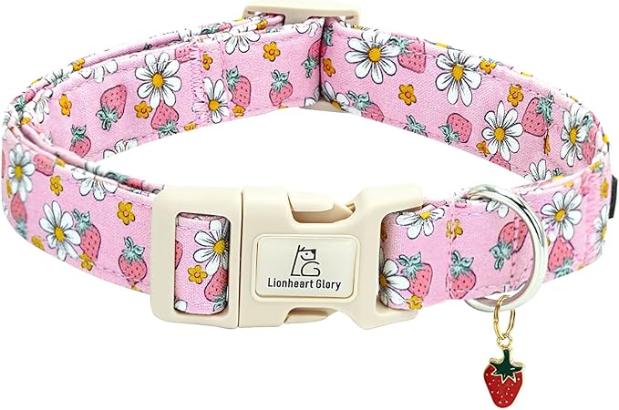 Lionheart glory Dog Collar Strawberries Print Pink Dog Collars Girl Spring Summer Cute Collar Pet Gift Durable Adjustable Dog Collar for Small Dogs
