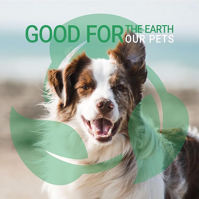 Green Groom Ginger Orange Aromatherapy Dog Shampoo, 1 Gallon | All Natural Ingredients, Ginger Orange Essential Oils, Adds Vibrant Shine, Calming and Relieves Tension