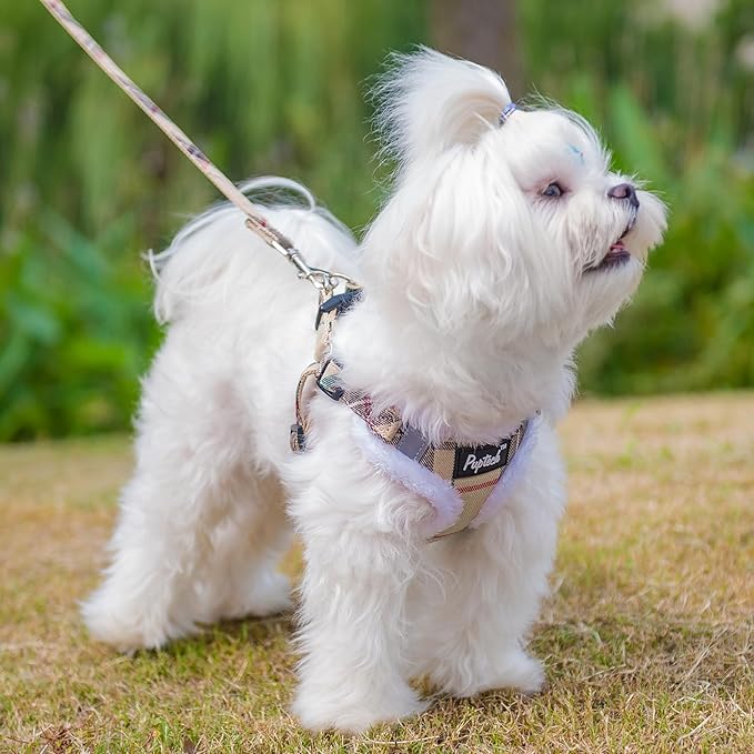 PUPTECK No Pull Dog Harness and Leash Set Reflective No Choke Step in Puppy Halter for XS Small and Medium Sized Dogs, Beige Plaid, Plush, XS