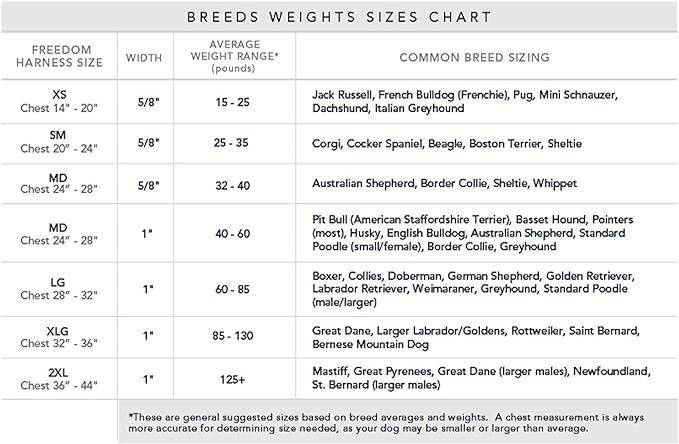 2 Hounds Design Freedom No Pull Dog Harness | Comfortable Control for Easy Walking |Adjustable Dog Harness and Leash Set | Small, Medium & Large Dogs | Made in USA | Solid Colors | 1" MD Kelly Green