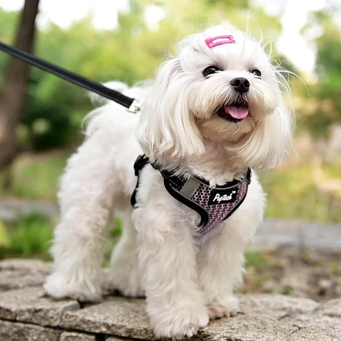 PUPTECK No Pull Dog Harness and Leash Set Reflective No Choke Step in Puppy Halter for XS Small and Medium Sized Dogs, LightPink, Breathable Mesh, S