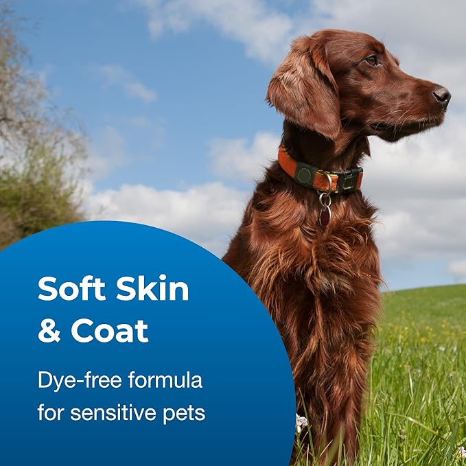 PetAg Fresh ’n Clean 2-N-1 Conditioning Shampoo, Baby Powder Scent - 18 oz - Moisturizes with Vitamin E & Aloe Vera - Strengthens & Repairs Coats - Soap Free