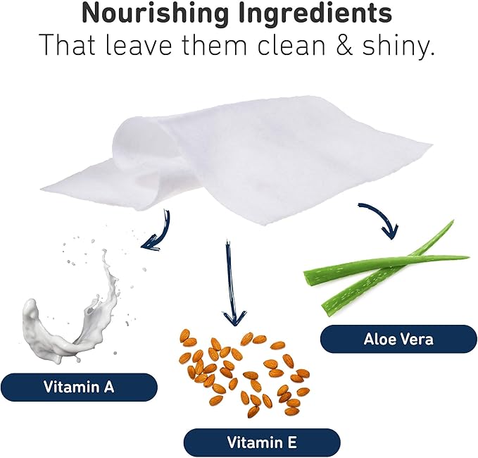 International Veterinary Sciences IVS Quick Bath Dog Towelettes, Removes Odor, Extra Thick and Heavy Duty for Small/Medium Dogs, Made in the USA, 10 Count Pack