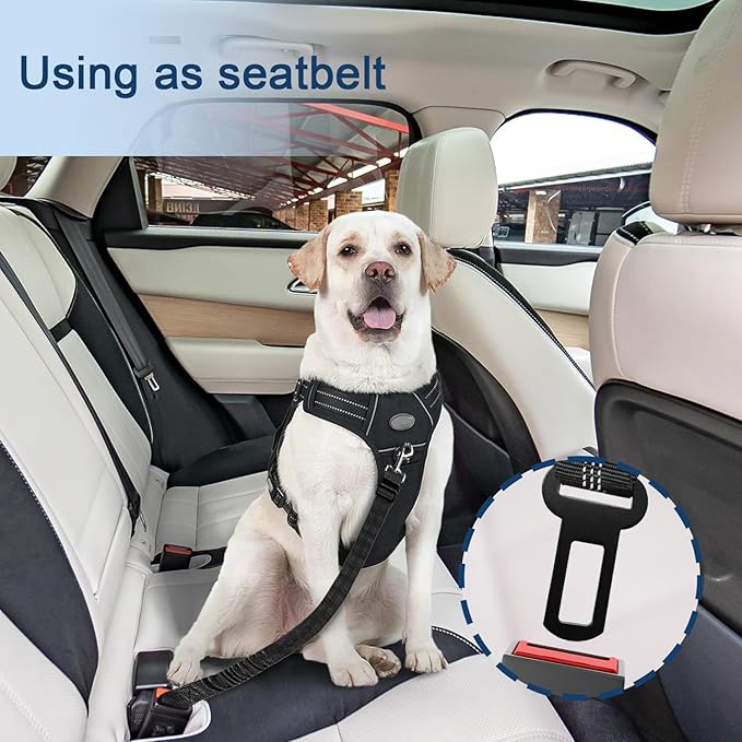 Dog Seat Belt for car, 3 Piece Set Retractable Dog Car Harness 2 Pack Adjustable Seatbelt for Dog in car, Nylon Pet Safety Seat Belts Tether Heavy Duty and Reflective Dog car Leash, Black