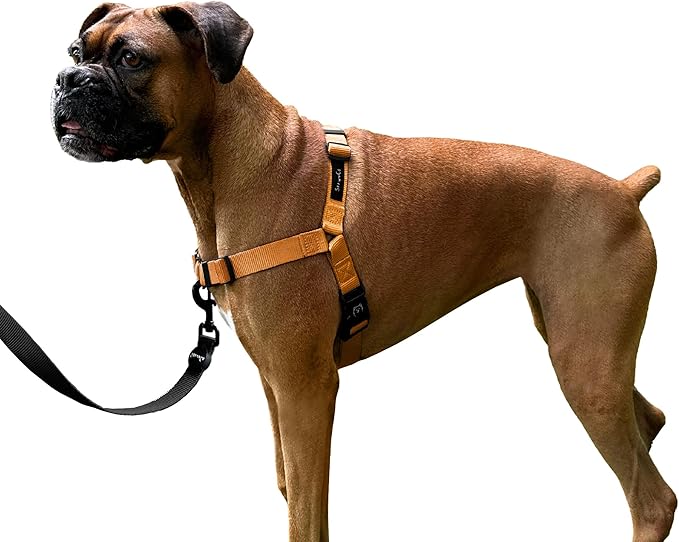 ShawnCo Dream Walk No-Pull Dog Harness- Adjustable, Comfortable, Easy to Use Pet Halter to Help Stop Pulling for Small, Medium and Large Dogs (Sunset Orange, XS)
