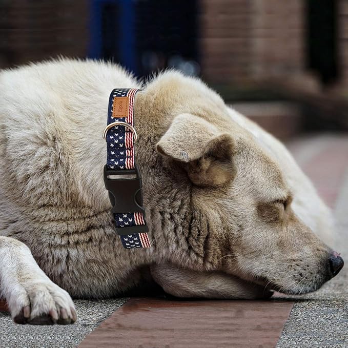 American Flag Dog Collars Adjustable Basic Dog Collar Soft Comfortable Pet Collar (S)