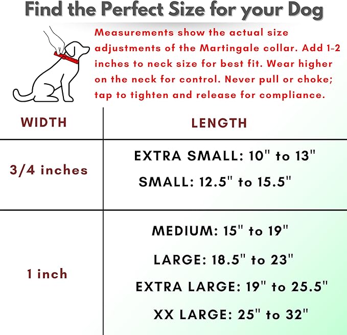 Martingale Collar for Dogs, Biothane, Stainless Steel Hardware, No Pull, Made in The USA, Professional Grade, Extra Large, Purple