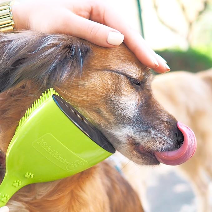 Michel Mercier Pet Detangling Brush Fine or Normal Fur - Pet Brush for Grooming, Detangling, Deshedding - Cat Brush and Dog Brush for Shedding - 1 pc