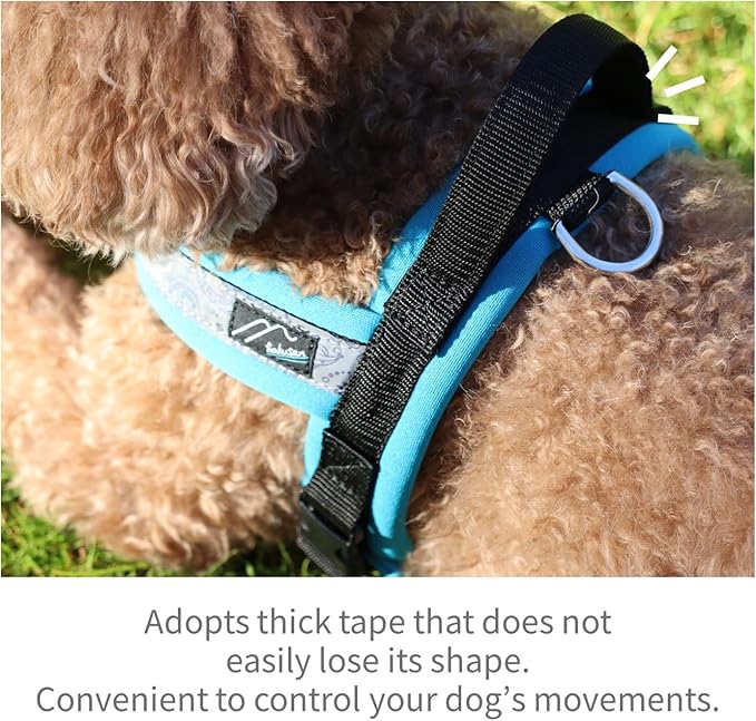 【Hakusan】 New Just Fit Dog Harness Dragon - Reflective, Paisley, Stress-Free, Japanese Made,one-Touch Buckles,Easily Put on, (Red×Black, 0)