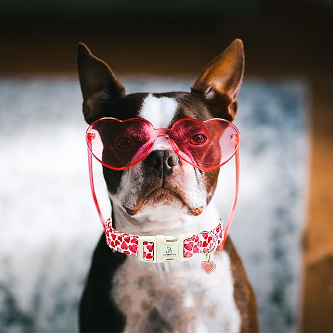 Lionheart glory Valentine's Day Collar, Red Hearts Dog Collar for Large Cute Dog Collars Spring Female Pet Gift Adjustable Heavy-Duty Holiday Dog Collar Plastic Buckle