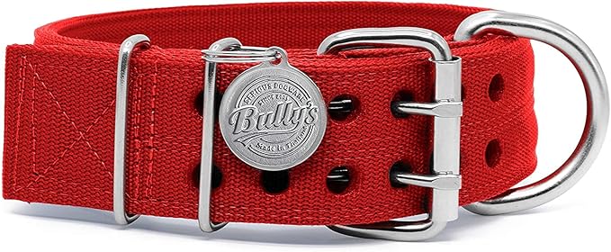 Pit Bull Collar, Dog Collar for Large Dogs, Heavy Duty Nylon, Stainless Steel Hardware (Medium, Fire Engine Red)