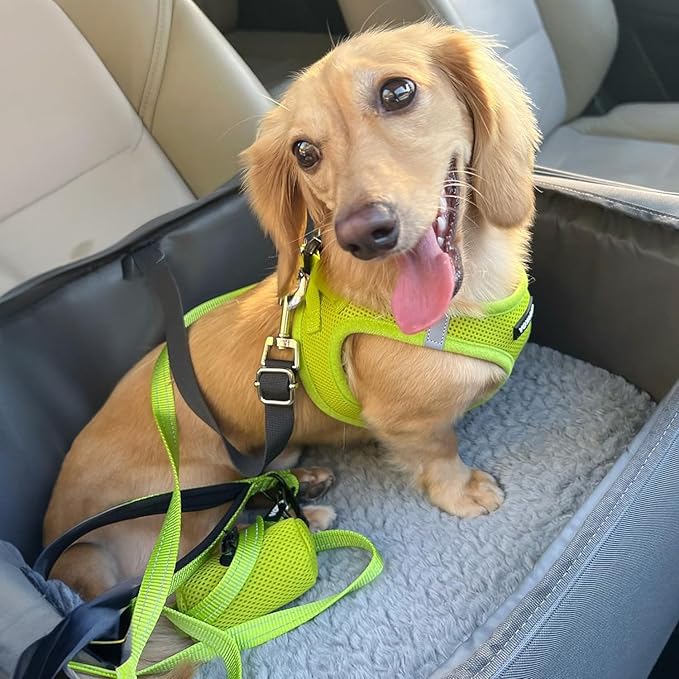 Voyager Step-in Air Dog Harness - All Weather Mesh, Reflective, No Pull Harness for Small, Medium Dogs, Cats - Secure with Hook & Loop Fastener, Buckle, Double D-Rings - Lime Green, S
