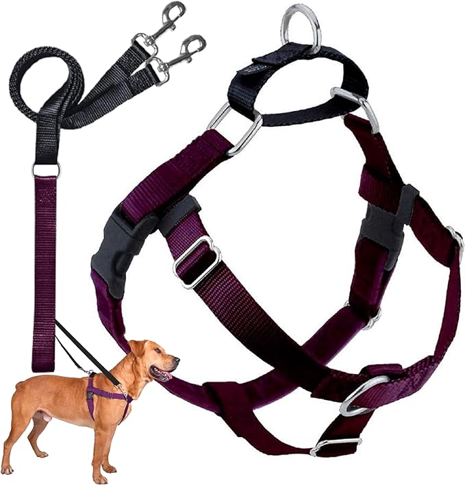 2 Hounds Design Freedom No Pull Dog Harness | Comfortable Control for Easy Walking |Adjustable Dog Harness and Leash Set | Small, Medium & Large Dogs | Made in USA | Solid Colors | 1" MD Burgundy