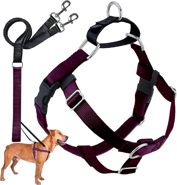 2 Hounds Design Freedom No Pull Dog Harness | Comfortable Control for Easy Walking |Adjustable Dog Harness and Leash Set | Small, Medium & Large Dogs | Made in USA | Solid Colors | 1" XXL Burgundy
