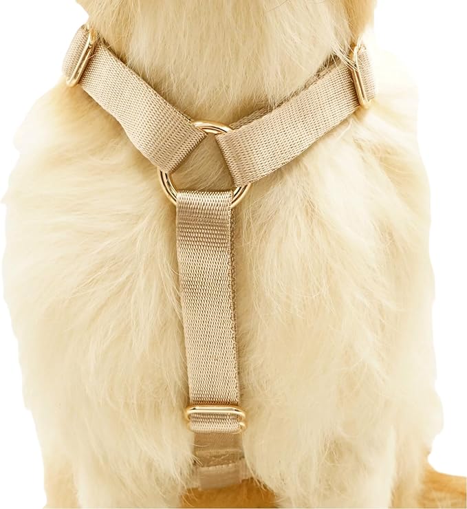 Nylon No Pull Dog Harness with Gold Metal Buckles,Easy Walking and Training Dog Harness (Tan, M)