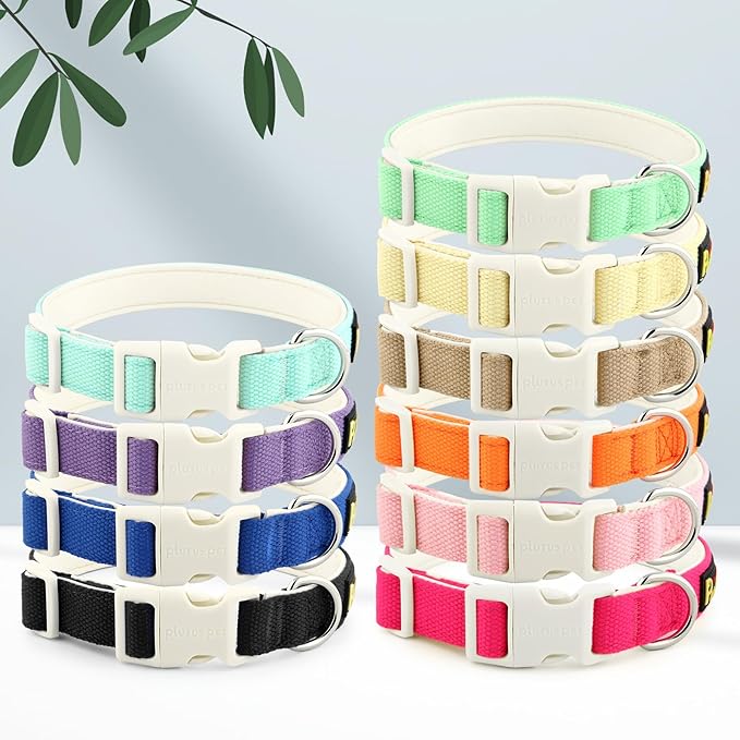Plutus Pet Cotton Dog Collar, Heavy Duty Collar with Soft Padding, Adjustable and Comfortable for Small Medium and Large Dogs, Royal Blue, S