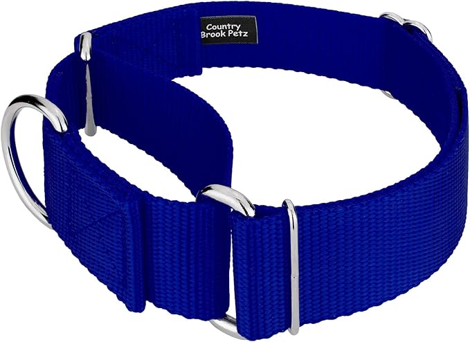 Country Brook Petz 1 1/2 Inch Martingale Heavy Duty Nylon Adjustable Dog Collar for Small, Medium, Large Breeds - Vibrant 17 Color Selection (Royal Blue, Large)