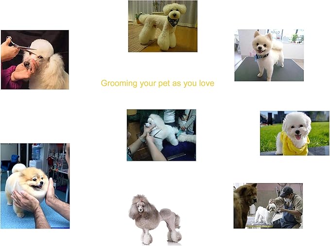 Professional Dog Shear Scissor Straight 8 Inch For Dogs Grooming Stainless Steel Japanese Process (8.0" Straight Blue Diamond)