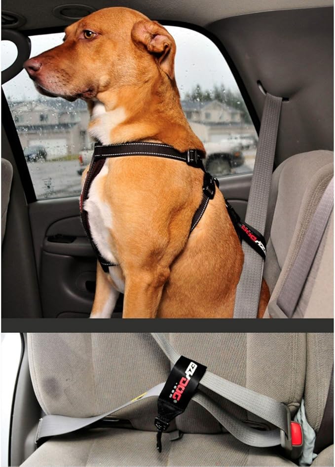 EzyDog Universal Dog Car Restraint - Dog Seat Belt Safety Lead - Abrasion-Resistant Vehicle Seatbelt Harness Attachment with Superior Strength and Nylon Webbing - Easy-to-Use Click It and Go Design
