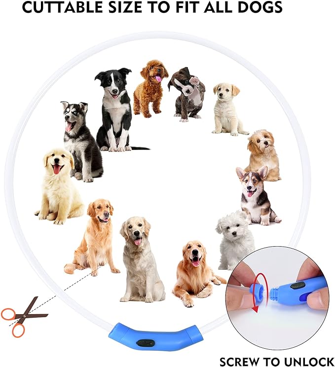 LED Dog Collar, Rechargeable Light Up Dog Collars,IP67 Waterproof Dog Lights for Night Walking，Adjustable, Reusable Safety Necklace for Small Medium Large Dogs(Blue)