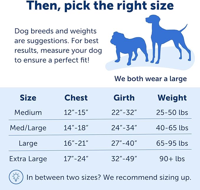 PetSafe Easy Walk No-Pull Dog Harness - The Ultimate Harness to Help Stop Pulling - Take Control & Teach Better Leash Manners - Helps Prevent Pets Pulling on Walks, Medium/Large, Deep Purple/Black