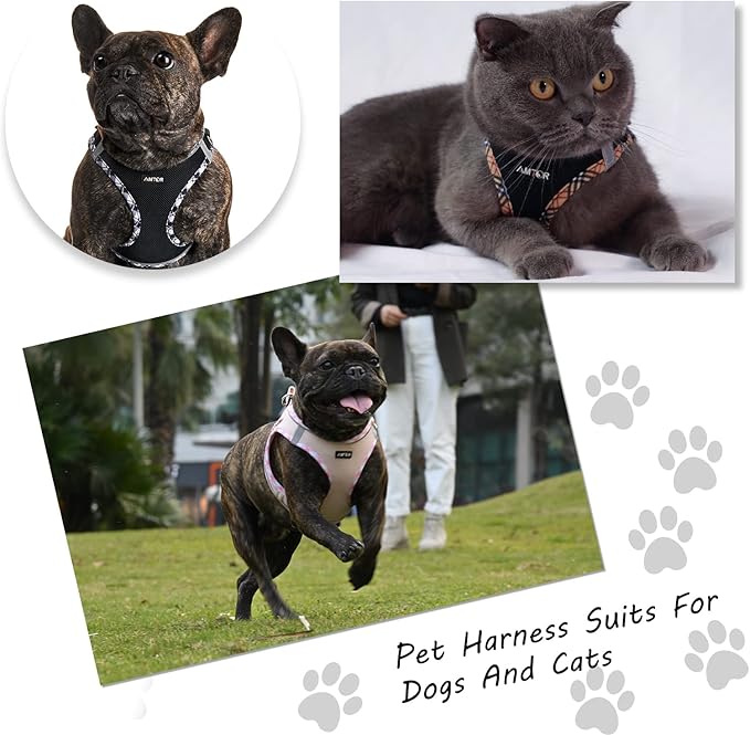 AMTOR Small Dog Harness with Leash Set, No Escape Easy Walk Puppy Harnesses for Training Walking, Step-in Reflective Soft Dogs Vest for XS S Medium Extra-Small Large Sized Dog(Pink,XL)