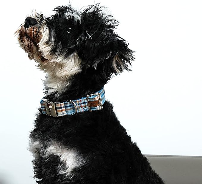 Lionet Paws Boy Dog Collar, Comfortable Adjustable Cute Blue Plaid Collar with Metal Buckle for Male Dogs Gift, XLarge, Neck 16-26 inches