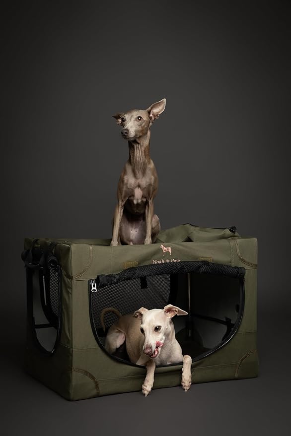 Noah & Paw Collapsible Dog Crate 26 Inch, Small Dog Crate for Small Medium Breeds, Travel Kennel for Car, Including Pet Mat for Pet Cage, 2 Storage Pockets, Handbag, 10mm Locking Zipper 26 * 17 * 17