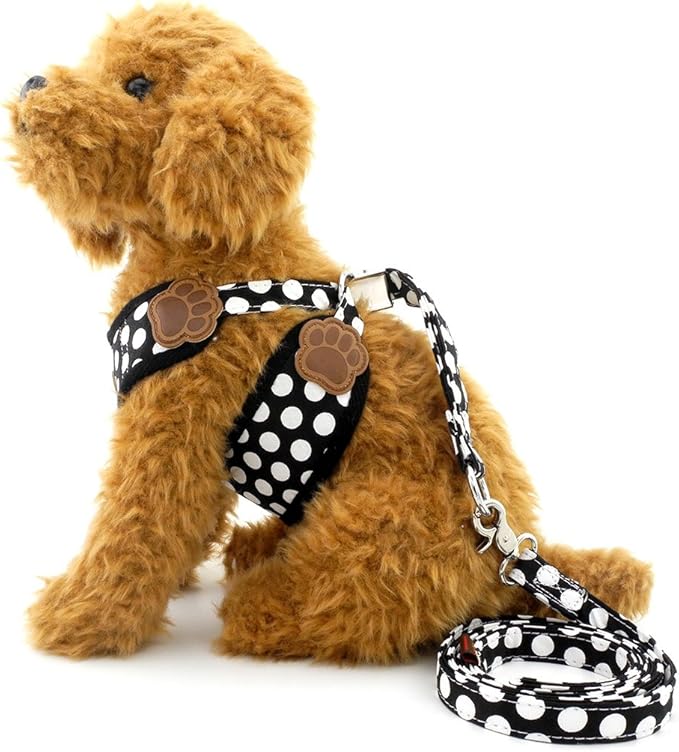 SMALLLEE_Lucky_Store New Soft Mesh Nylon Vest Pet Cat Small Medium Dog Harness Dog Leash Set Leads Black M