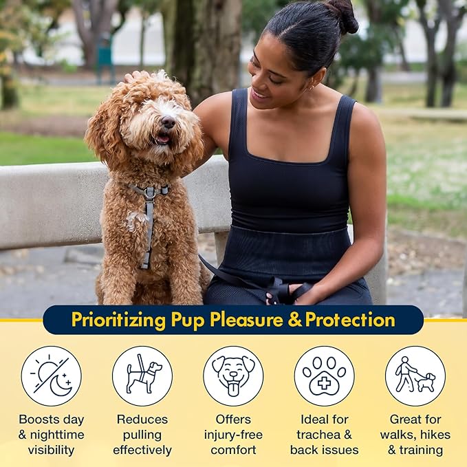 No Pull Harness with Fully Customizable Fitment for XL Dogs - 3M Reflective Heavy Duty Harness for Walking & Training - No Choke Comfortable Collar Design, Made in USA XL-Sky Blue