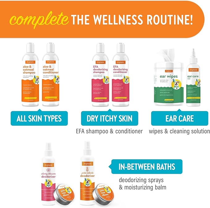 Everyday Aloe & Oatmeal Shampoo – Piña Colada Scent (16oz) | Nourishing Shampoo for Dogs and Cats Rich with Soothing Emollients | Alcohol-Free, Soapless & Tearless