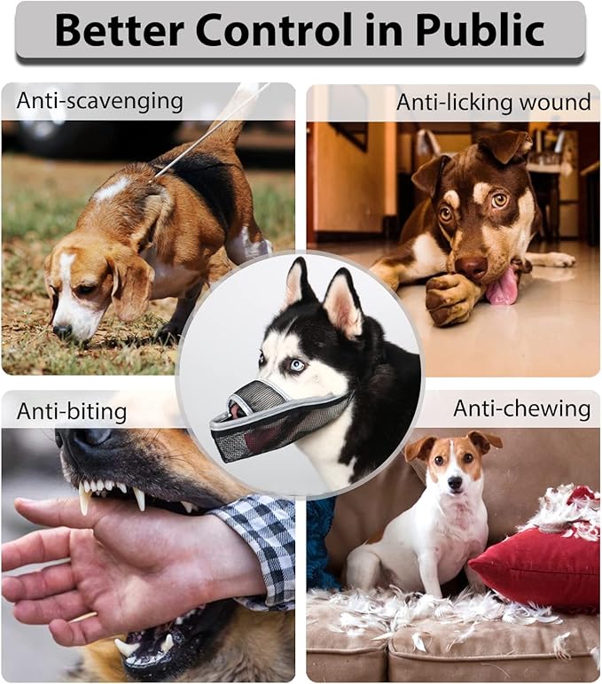 Crazy Felix Nylon Dog Muzzle for Small Medium Large Dogs, Air Mesh Breathable and Drinkable Pet Muzzle for Anti-Biting Anti-Barking Licking (XXS, Reflective Trim)
