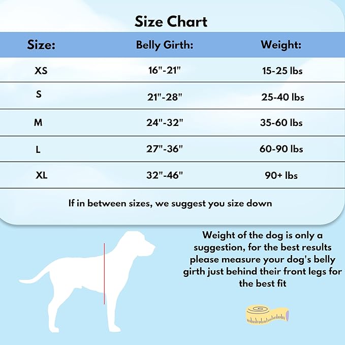 ShawnCo Dream Walk No-Pull Dog Harness- Adjustable, Comfortable, Easy to Use Pet Halter to Help Stop Pulling for Small, Medium and Large Dogs (Pacific Blue, S)