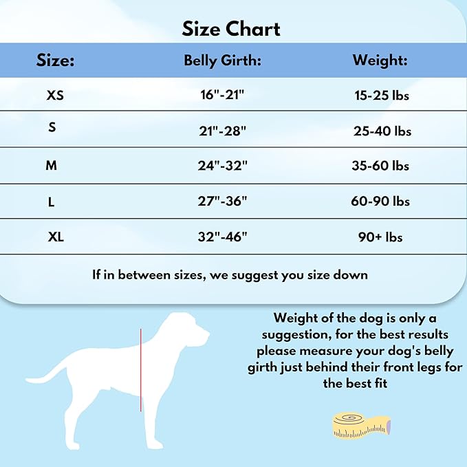 ShawnCo Dream Walk No-Pull Dog Harness- Adjustable, Comfortable, Easy to Use Pet Halter to Help Stop Pulling for Small, Medium and Large Dogs (Oceanic Blue, XS)