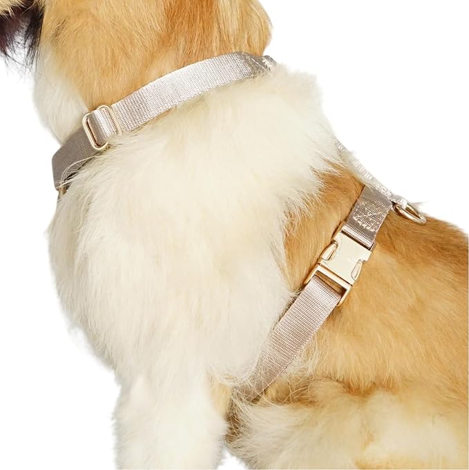 Nylon No Pull Dog Harness with Gold Metal Buckles,Easy Walking and Training Dog Harness (Tan, XS)