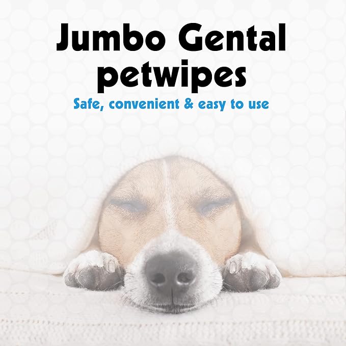 Petkin Jumbo Pet Eye Wipes, 80 Extra Moist Wipes, 2 Pack - Natural Formula Gently Removes Dirt, Discharge, & Tear Stains - Safe, Convenient, & Easy to Use Pet Wipes for Dogs, Cats, Puppies & Kittens