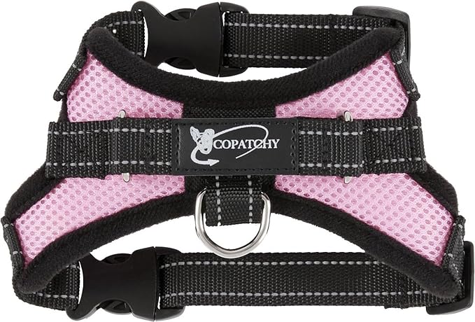 No Pull Reflective Adjustable Dog Harness with Handle- Comfortable Soft All Weather Mesh, Easy On Puppy Harness for Small Medium and Large Dogs (Pink) XX-Small