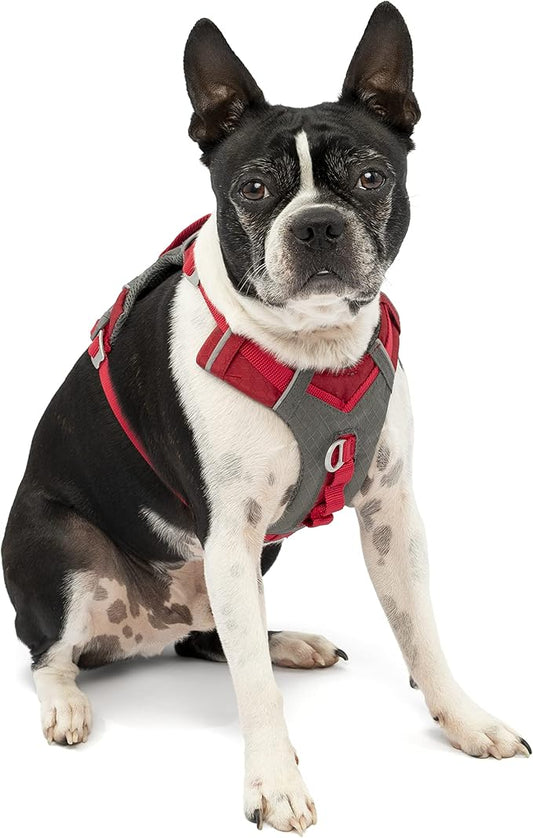 Kurgo K01937 Dog Harness for Large, Medium, & Small Active Dogs, Pet Hiking Harness for Running & Walking, Everyday Harnesses for Pets, Reflective, Journey Air, Red/Grey 2018, X-Small