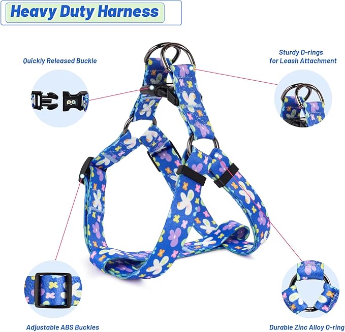 QQPETS Dog Harness Leash Set Adjustable Heavy Duty No Pull Halter Harnesses for Small Medium Large Breed Dogs Back Clip Anti-Twist Perfect for Walking