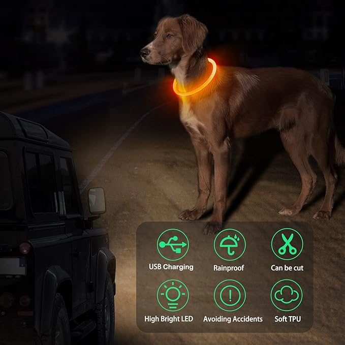Light Up Dog Collars, Single-Color USB Rechargeable Dlitk LED Dog Collar 1 Count, TPU Cuttable Size Glow Collar for Dogs, Dog Collar Light, Please Do Not Use Fast Charging (Orange)