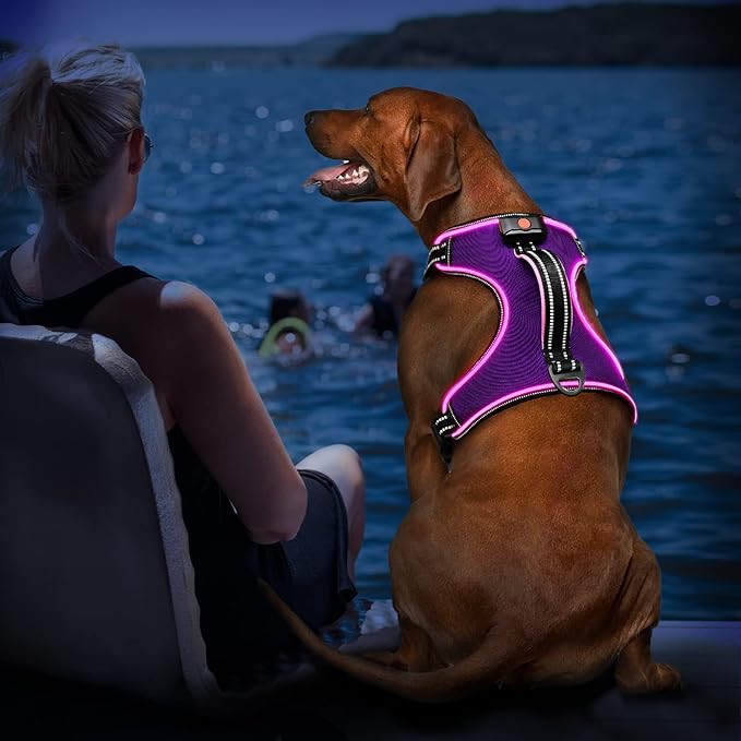 Light Up Dog Harness No Pull LED Dog Harness with Handle Vizbrite Rechargeable Lighted Dog Vest Harness for Small/Medium/Large/X-Large Size Dogs No Pull, 4 Point Adjustable Dog Harness