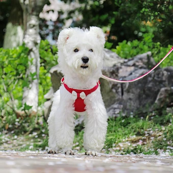 Beirui Small Dog Harness and Leash Set, Soft Lightweight Puppy Harness, Adjustable Bow Tie Puppy Harness for Small Dogs (Red, XS)