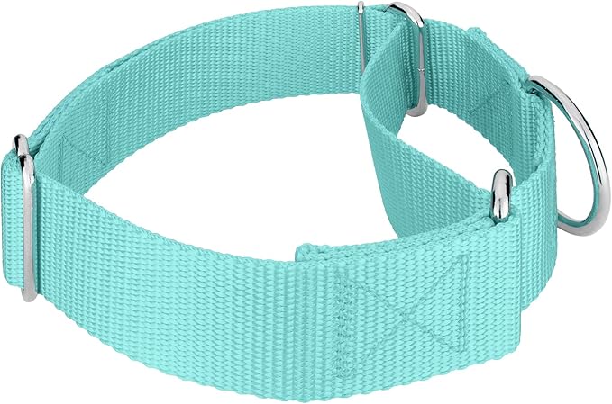 Country Brook Petz 1 1/2 Inch Martingale Heavy Duty Nylon Adjustable Dog Collar for Small, Medium, Large Breeds - Vibrant 17 Color Selection (Light Cyan, Medium)