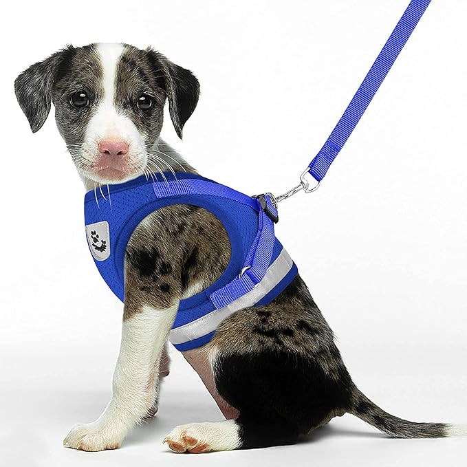 Cat Harnesses for Small Dogs - Cat Harnesses and Leashes for Walking, Adjustable Reflective Step in Dog Harness for Small Dog and Cat(Blue, S (11.8” – 13.3”)