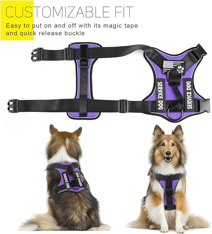 Demigreat Service Dog Harness, Reflective Dog Vest Harness with 5 PCS Patches, Adjustable Soft Oxford Pet Harness, Inner Layer Mesh, Easy to Control for Dogs