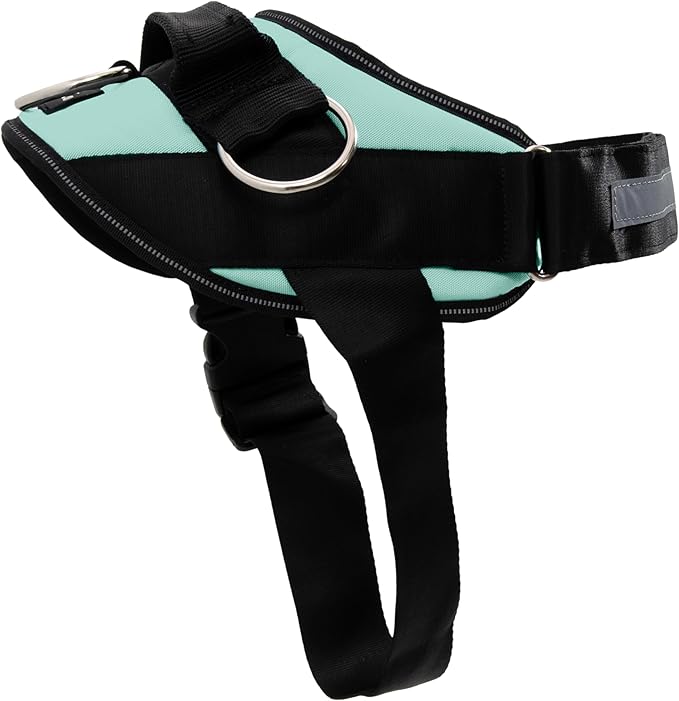 ShawnCo Essential Dog Harness, No-Pull Pet Vest with 3 Leash Clips, No Choke, Reflective, Adjustable and Padded, for Easy Walking and Training for Small, Medium and Large Dogs (Seafoam, M)