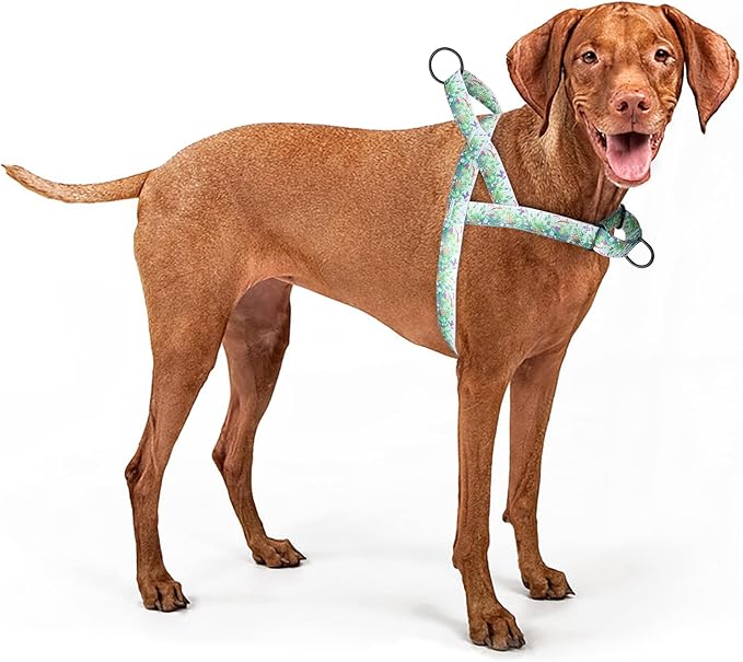 No Pull Dog Harness for Small, Medium, and Large Pets - Floral Pattern Nylon Safety Training Dog Harness (XS, Grass)