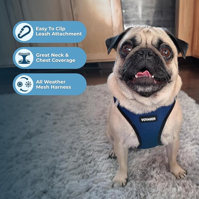 Voyager Step-In Air Dog Harness - All Weather Mesh, Reflective, No Pull Harness for Small, Medium Dogs, Cats - Secure with Hook & Loop Fastener, Buckle, Double D-Rings - Blue/Black Trim, XXS