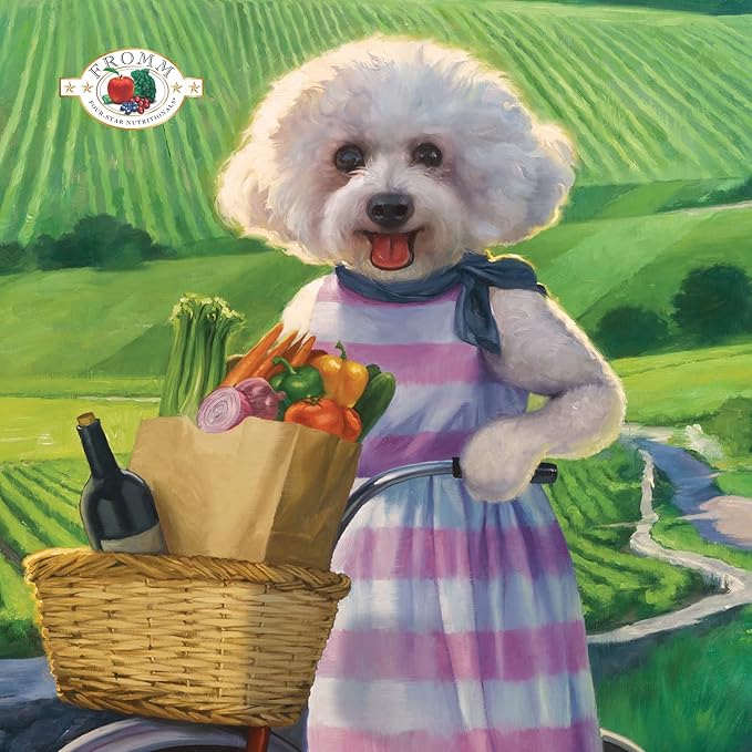 Fromm Four-Star Nutritionals Parmesan Cheese Dog Treats - Premium Oven Baked Dog Snacks - Cheese Recipe - Pack of (3) 8 oz Bags