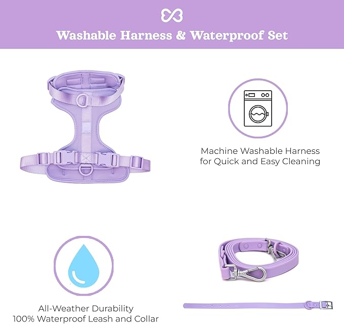 Dog Harness and Leash Set | BearBone No Pull Dog Harness and Waterproof Dog Collar and Leash Set | Heavy Duty Dog Harness, Leash and Collar | Small Dog Harness and Leash Set (Lilac, Small)